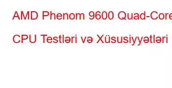 AMD Phenom 9600 Quad-Core CPU Testləri və Xüsusiyyətləri