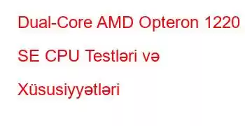 Dual-Core AMD Opteron 1220 SE CPU Testləri və Xüsusiyyətləri