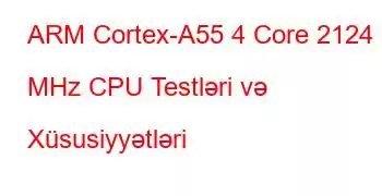 ARM Cortex-A55 4 Core 2124 MHz CPU Testləri və Xüsusiyyətləri